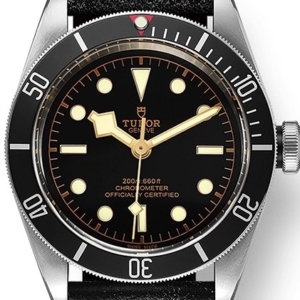 Tudor Black Bay - M79230N-0008