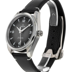 Omega Seamaster Railmaster