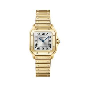 Cartier Santos De Cartier