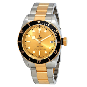 Tudor Black Bay S&G - M79733N-0004